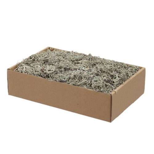 Lichen natural 150g