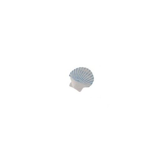 Seashell (self-adhesive)