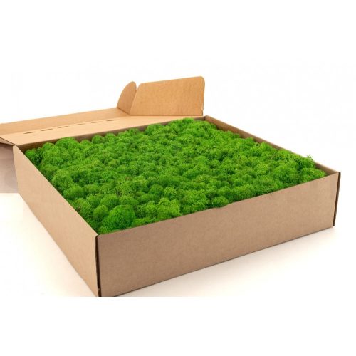 PRESERVED REINDEER MOSS - BOX 1 KG - LIght green