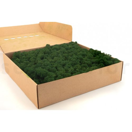 PRESERVED REINDEER MOSS - BOX 1 KG - FOREST GREEN