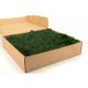 PRESERVED REINDEER MOSS - BOX 1 KG - FOREST GREEN