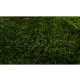 PRESERVED Long MOSS - BOX 600 KG - GREEN