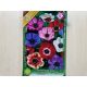 Anemone de Caen 10 pcs