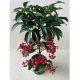 Ardisia crenata