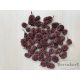 Casuarina bordo 50g