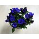 Gentiana makinoi Luis Easy Blue