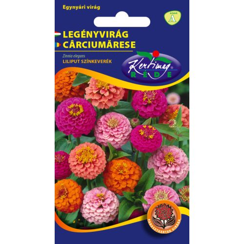 Zinnia color mix Liliput