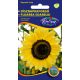 Ornamental sunflower - Moonlight seeds 2g