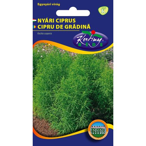 Summer Cypress 1g seeds