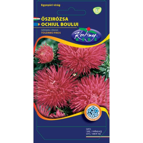 China aster - red