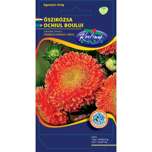 China aster Prinzess red