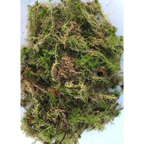 Sphagnum moss 1.4L